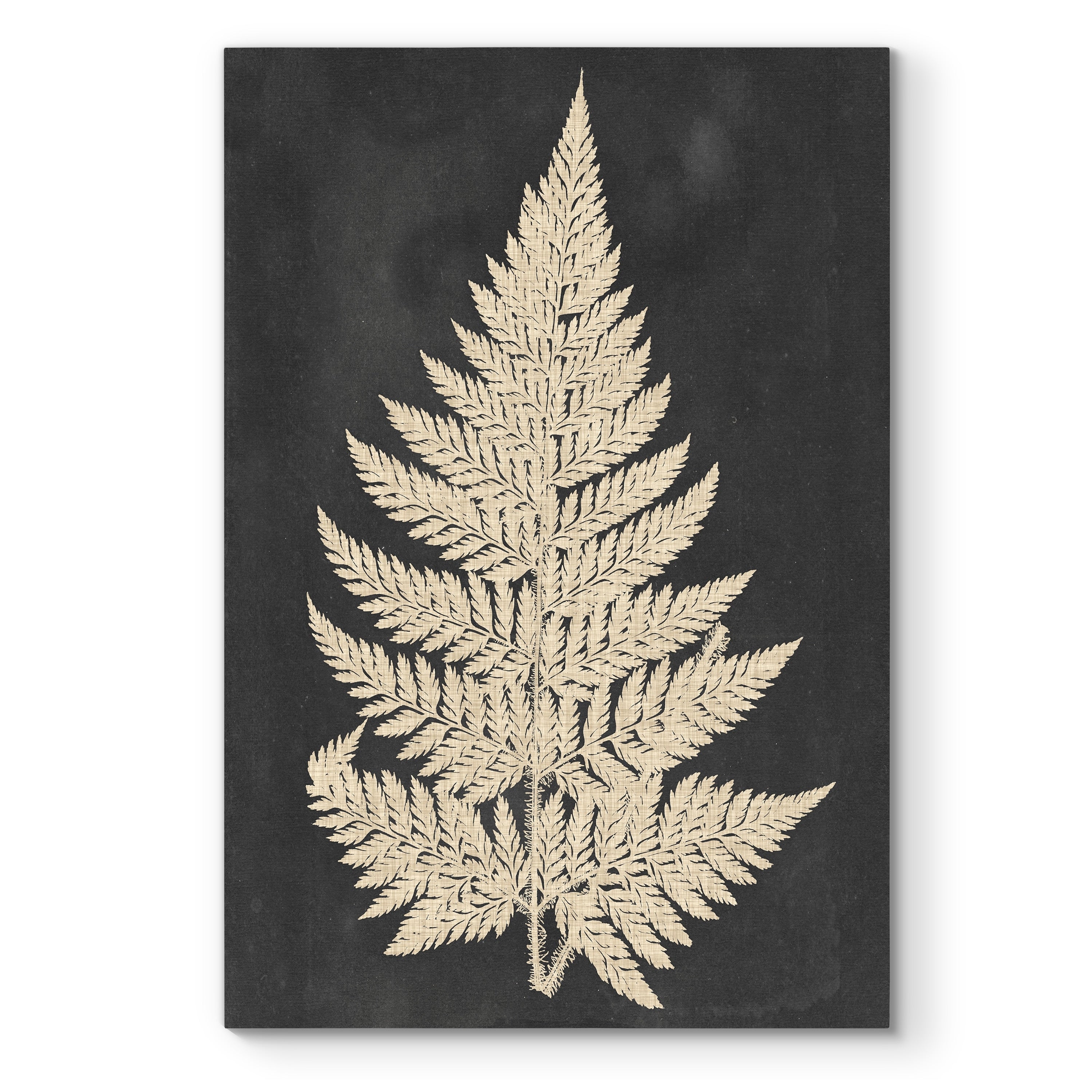 Linen Fern I Premium Gallery Wrapped Canvas Ready To Hang