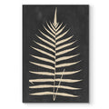 Linen Fern Iii Premium Gallery Wrapped Canvas Ready To Hang