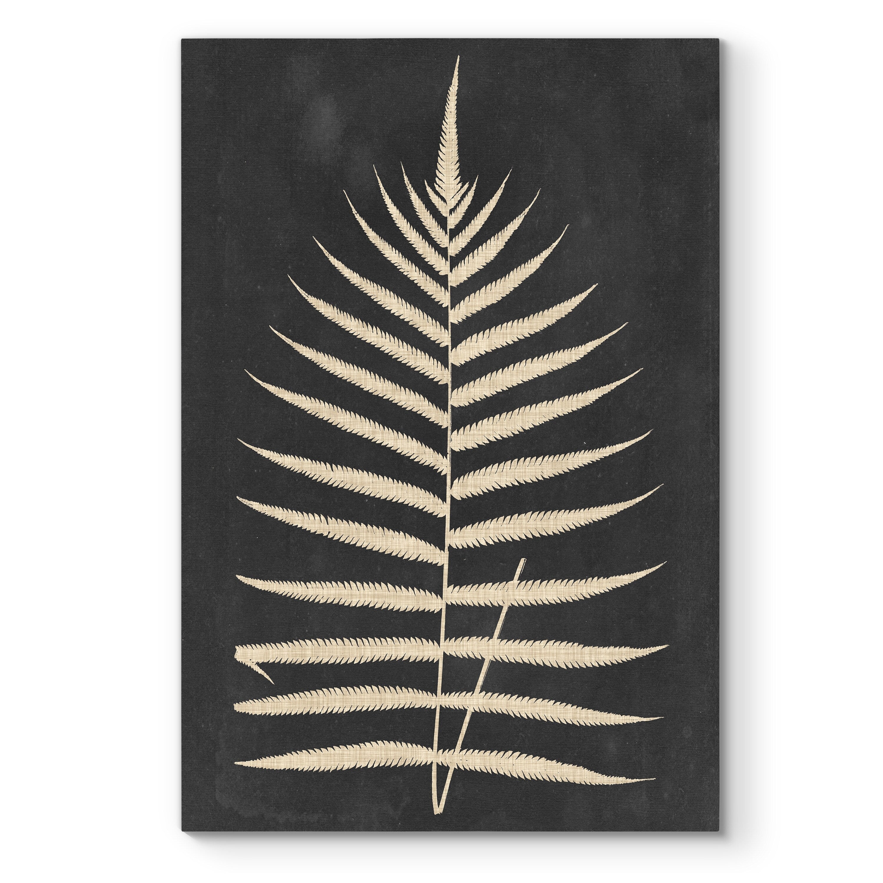 Linen Fern Iii Premium Gallery Wrapped Canvas Ready To Hang