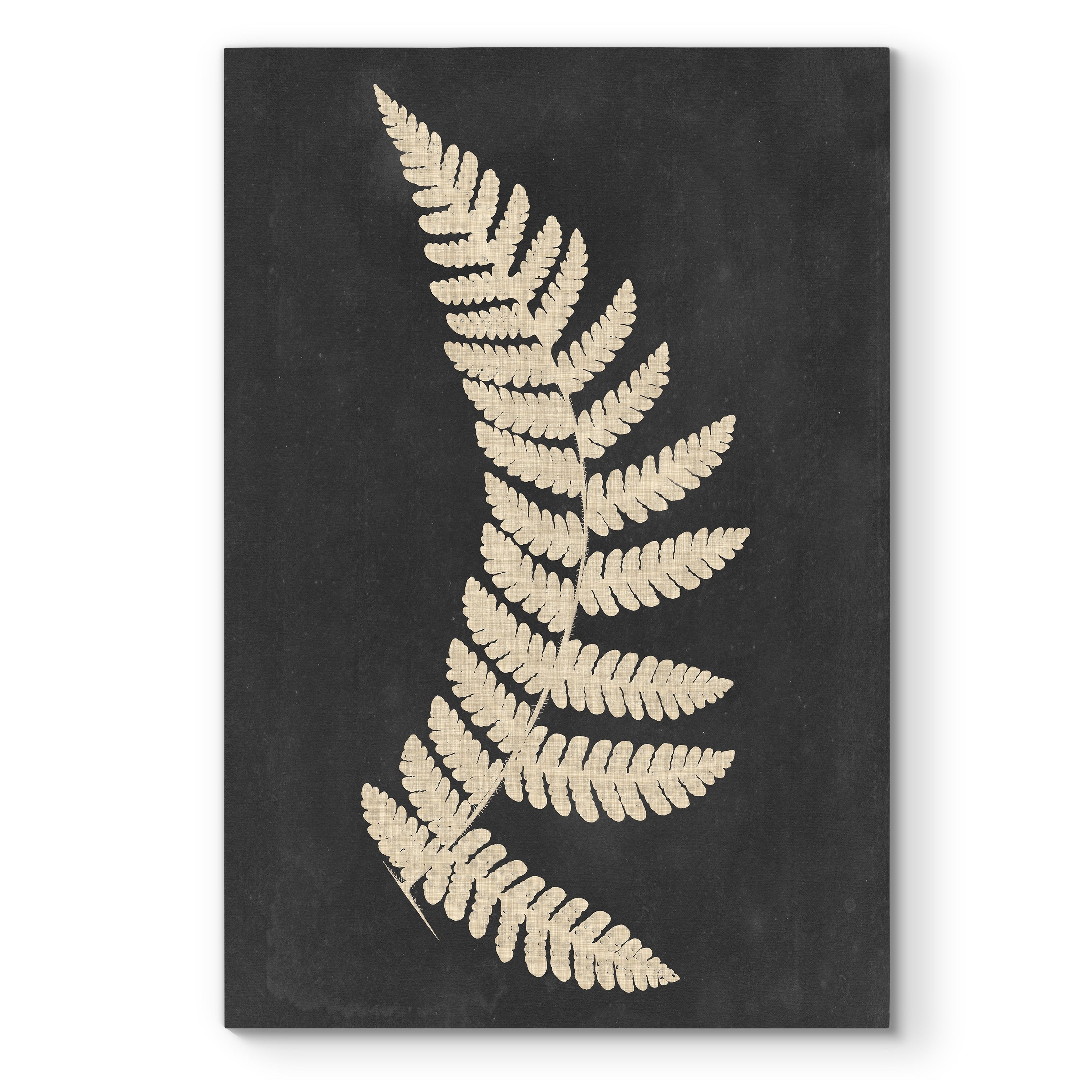 Linen Fern Iv Premium Gallery Wrapped Canvas Ready To Hang