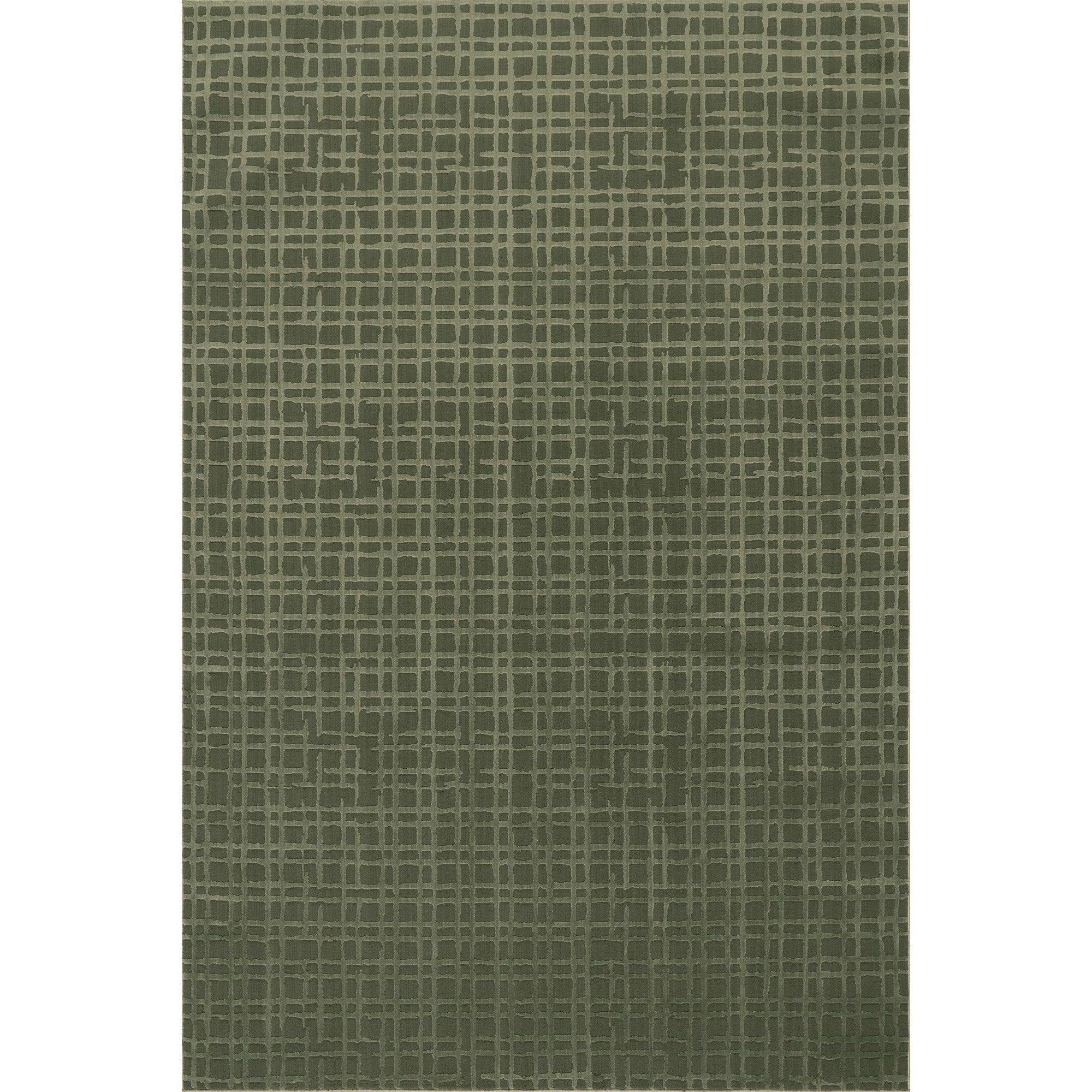 Lirielle Checkered Washable Area Rug