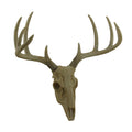 Little Bucky Wall Mounted Faux Aged Finish Deer Skull And Antlers 15 Inch 15.5 X 14.5 X 9.75 Inches