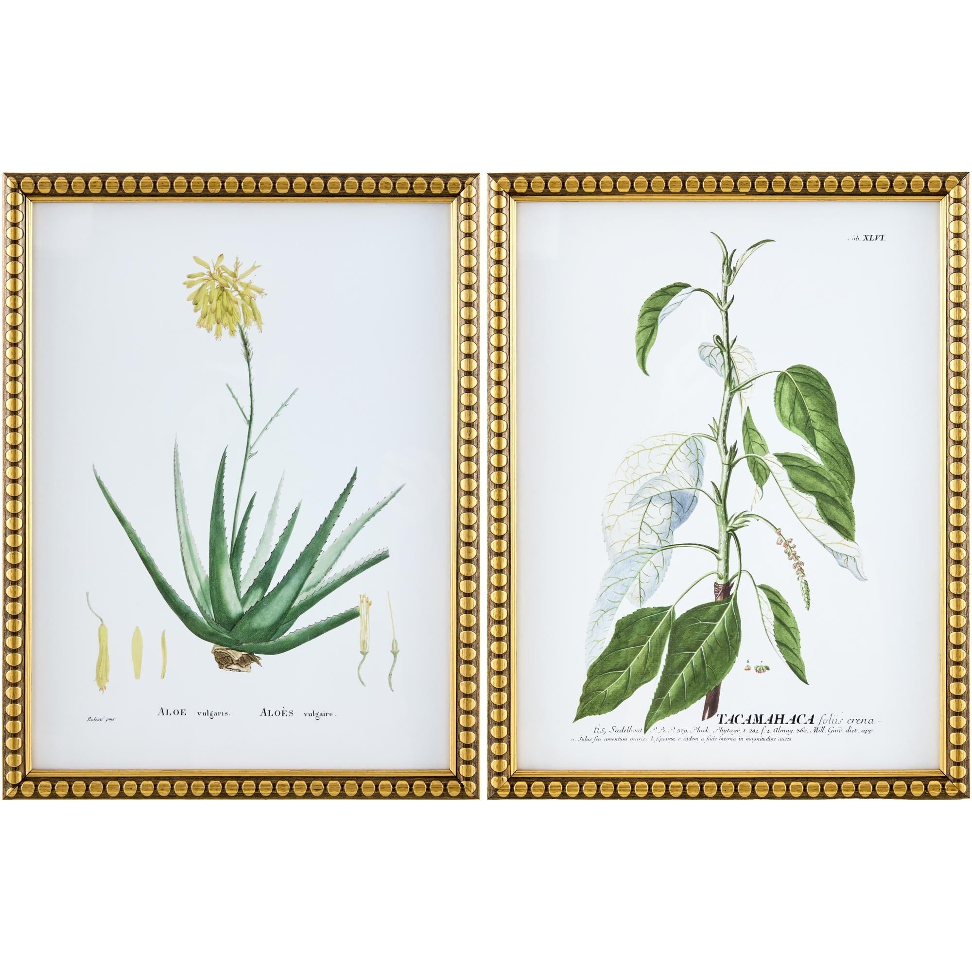 Livabliss Midsummer Cottage Framed Art Set Of 2