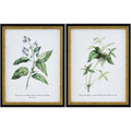 Livabliss Midsummer Cottage Framed Art Set Of 2