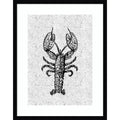 Lobster Ink Print By Nicholas Wood Framed Wall Art Print Svelte Noir Black