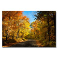 Lois Bryan Fall Walkway Canvas Art