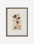 Meadow Rue No. 2 Wall Art by Shaina Page