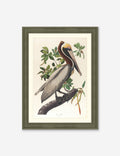 Wings of the Wild I Wall Art by Alex Zane