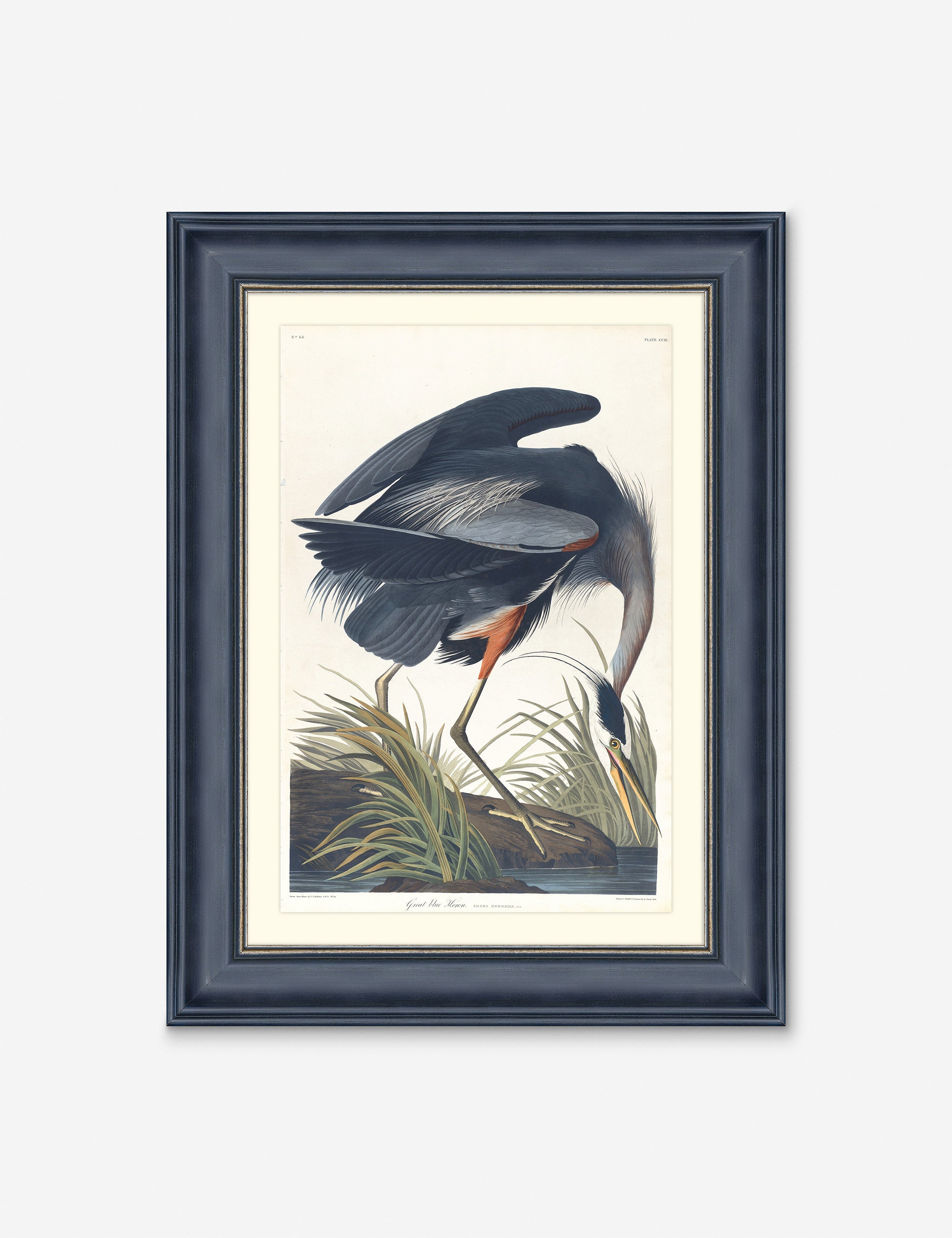 Wings of the Wild III Wall Art by Alex Zane