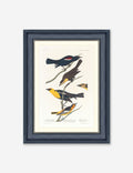 Wings of the Wild IV Wall Art by Alex Zane