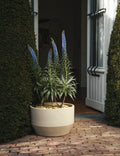 Construct Drum Planter by Marie Michielssen x Serax