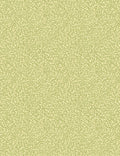 Boyes Wallpaper Swatch, Green