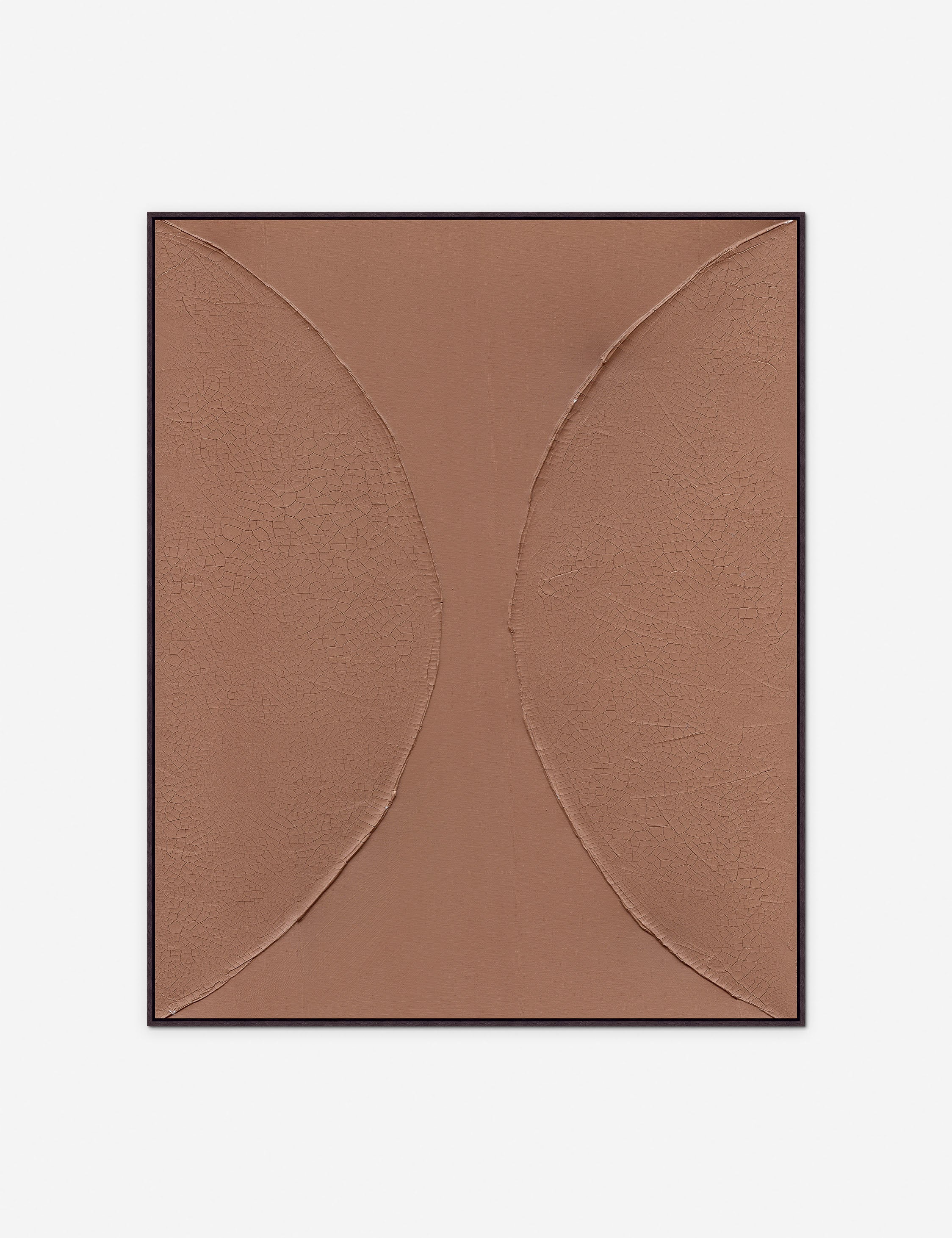 Cracked in Half Wall Art