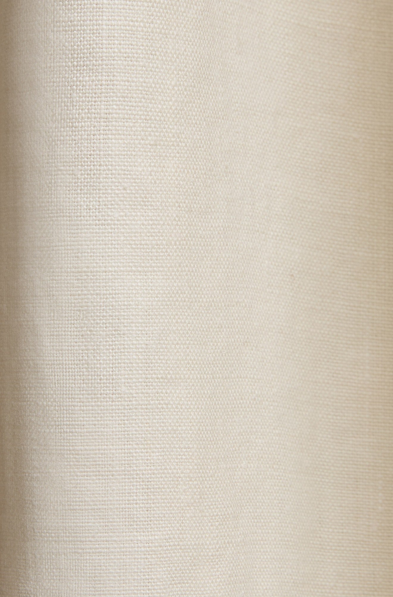 Nori Swatch, Ivory