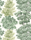 Central Park Wallpaper by Scalamandre Swatch, Green