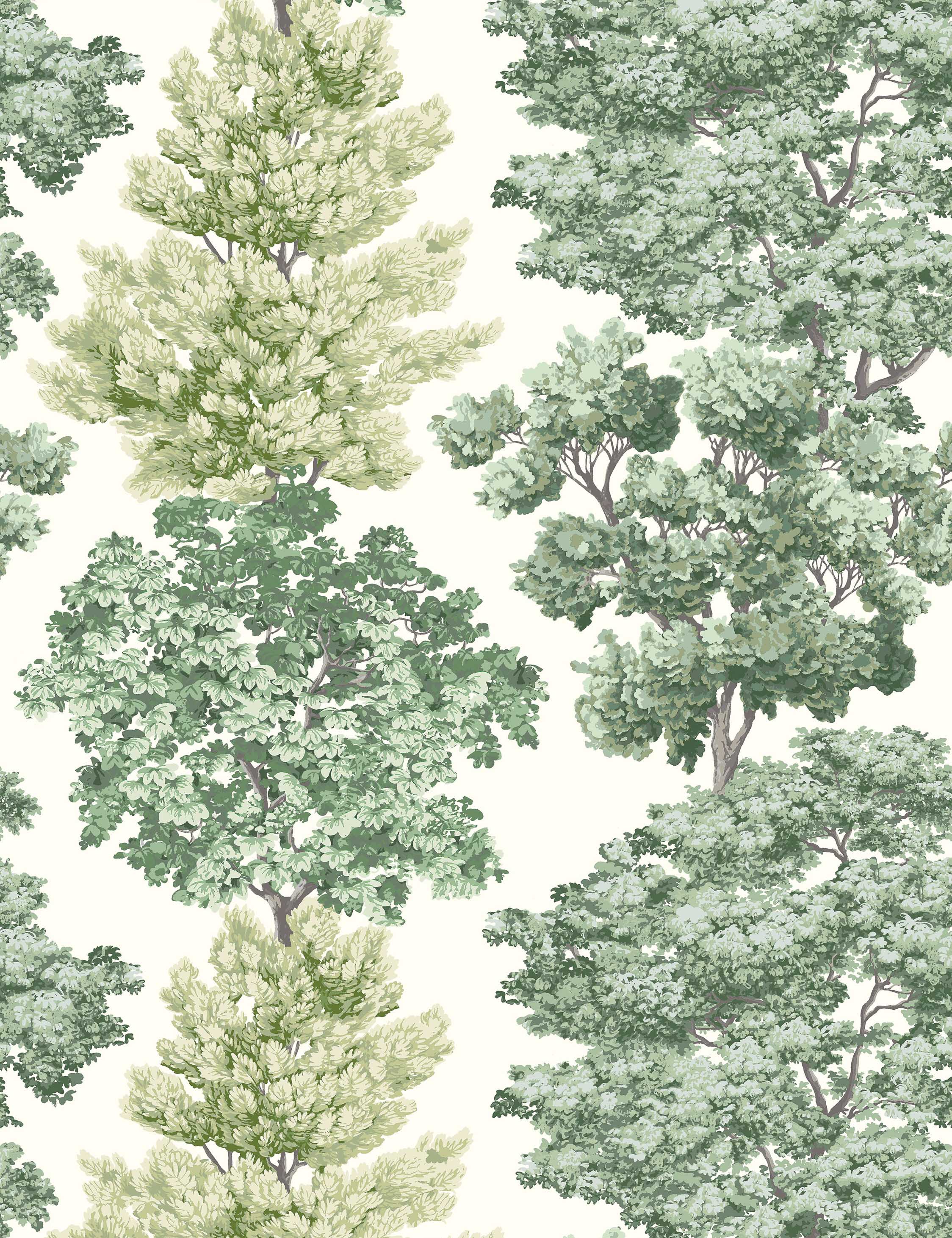 Central Park Wallpaper by Scalamandre Swatch, Green