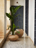 Dodou Planter Pot