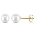Miadora 14K Yellow Gold Cultured Freshwater Pearl Stud Earrings 6 6.5 Mm