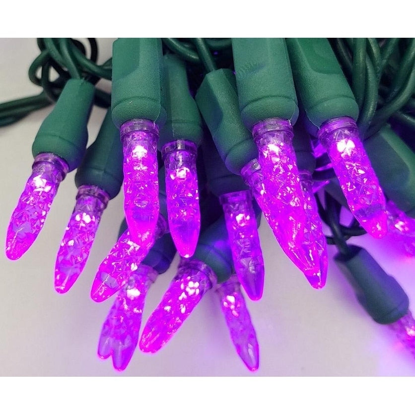M5 Mini Purple