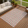Machine Washable Indoor Outdoor Strawberry Plaid Chantille Rug