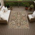 Machine Washable Indoor Outdoor Traditional Global Chantille Rug