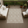 Machine Washable Indoor Outdoor Traditional Nunez Chantille Rug