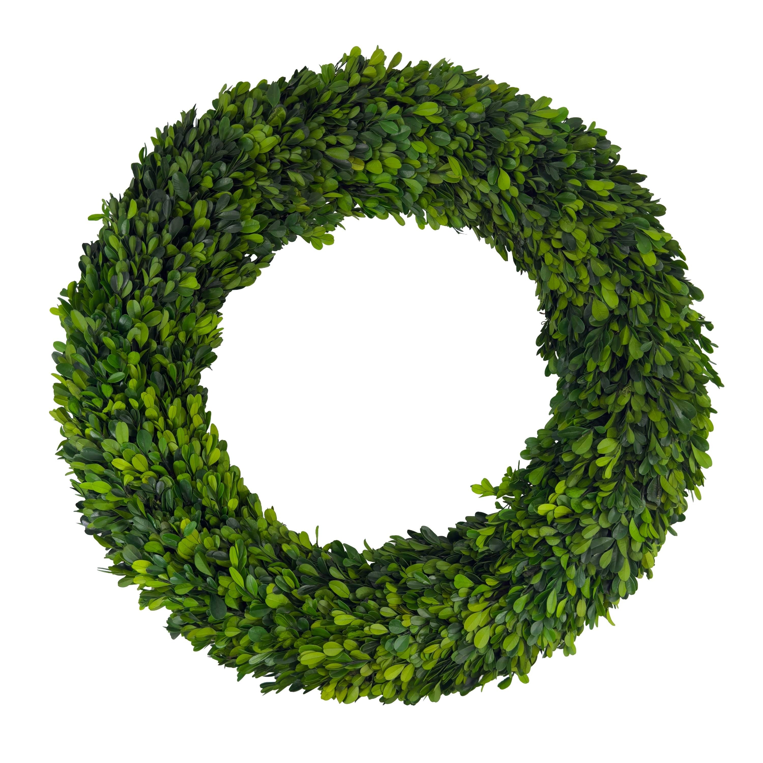 Maison 24 Handcrafted Real Preserved Boxwood Wreath