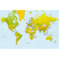 Wizard Genius Map Of The World Wall Mural