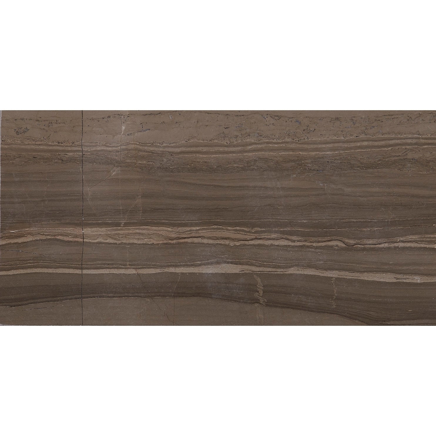 Marble 3X6 Inch Polished Field Tile In Silver Screen 3X6