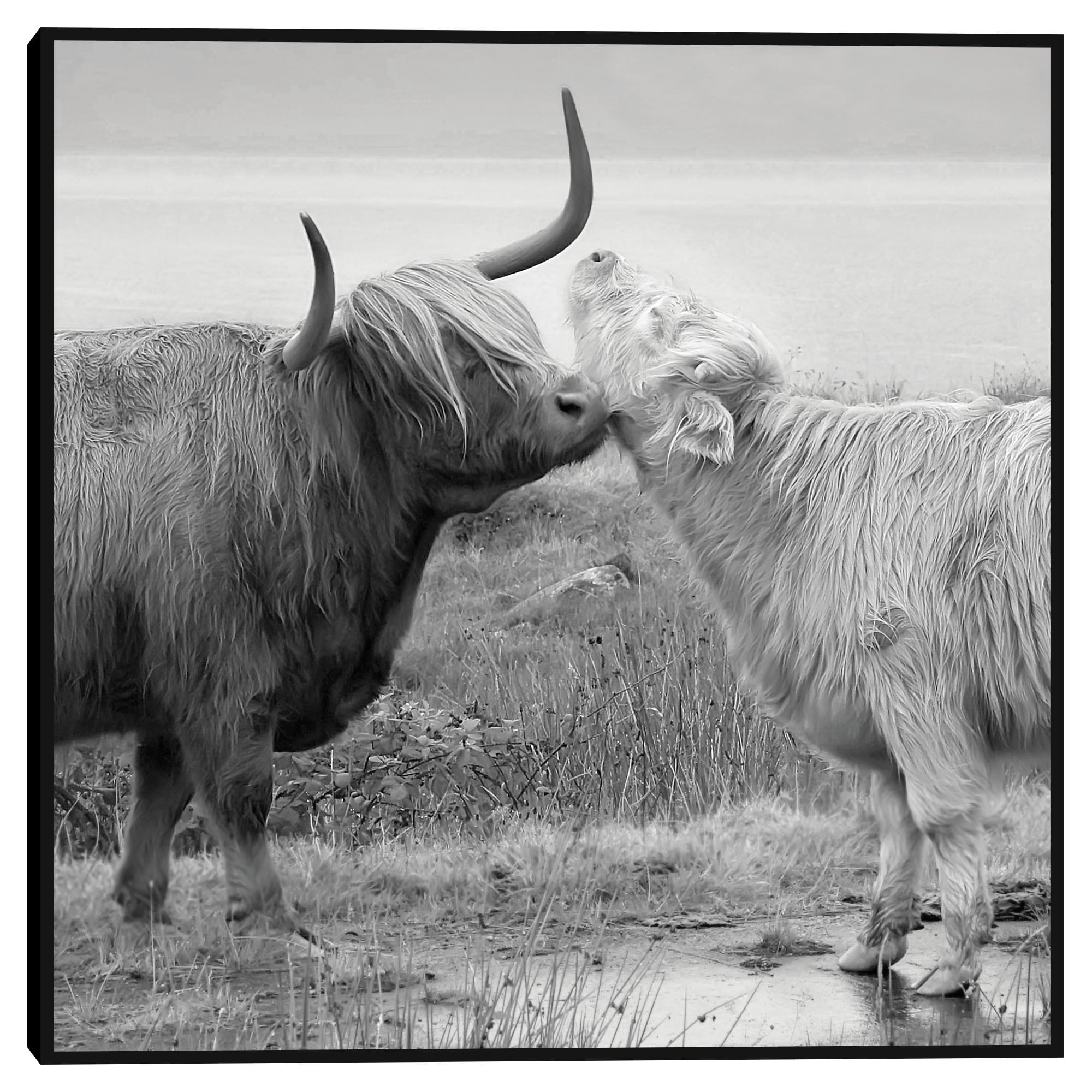 Masterpiece Art Gallery Kirklands Highland Courting By Danita Delimont Color Black Frame Wall Art Size 35X35