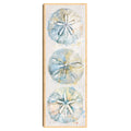 Masterpiece Art Gallery Kirklands Shell Panel Ii By Studio Arts Color Birch Frame Wall Art Size 12X36