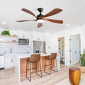 Matte Black Natural Ceiling Fan With Dimmable Light Reversible Motor