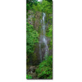 Maui Waterfall By Scott Bennion Gallery Wrapped Canvas Giclee Art 36 In X 12 In