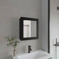 Medicine Cabinet 20.5 H With 2 Shelves 1 Door And 1 Mirror