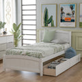Merax Twin Size Platform Bed With 2 Storage Drawers