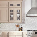 Somertile 11.25X11.625 Inch Seashell Penny White Natural Seashell Mosaic Wall Tile 10 Tiles 9.1 Sqft.