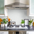 Somertile 10.125X12.875 Inch Expresiones Treux White Glass Mosaic Floor And Wall Tile 10 Tiles 9.1 Sqft.