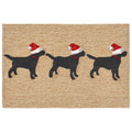 Liora Manne Merry Labs Outdoor Rug 26 X 4 26 X 4