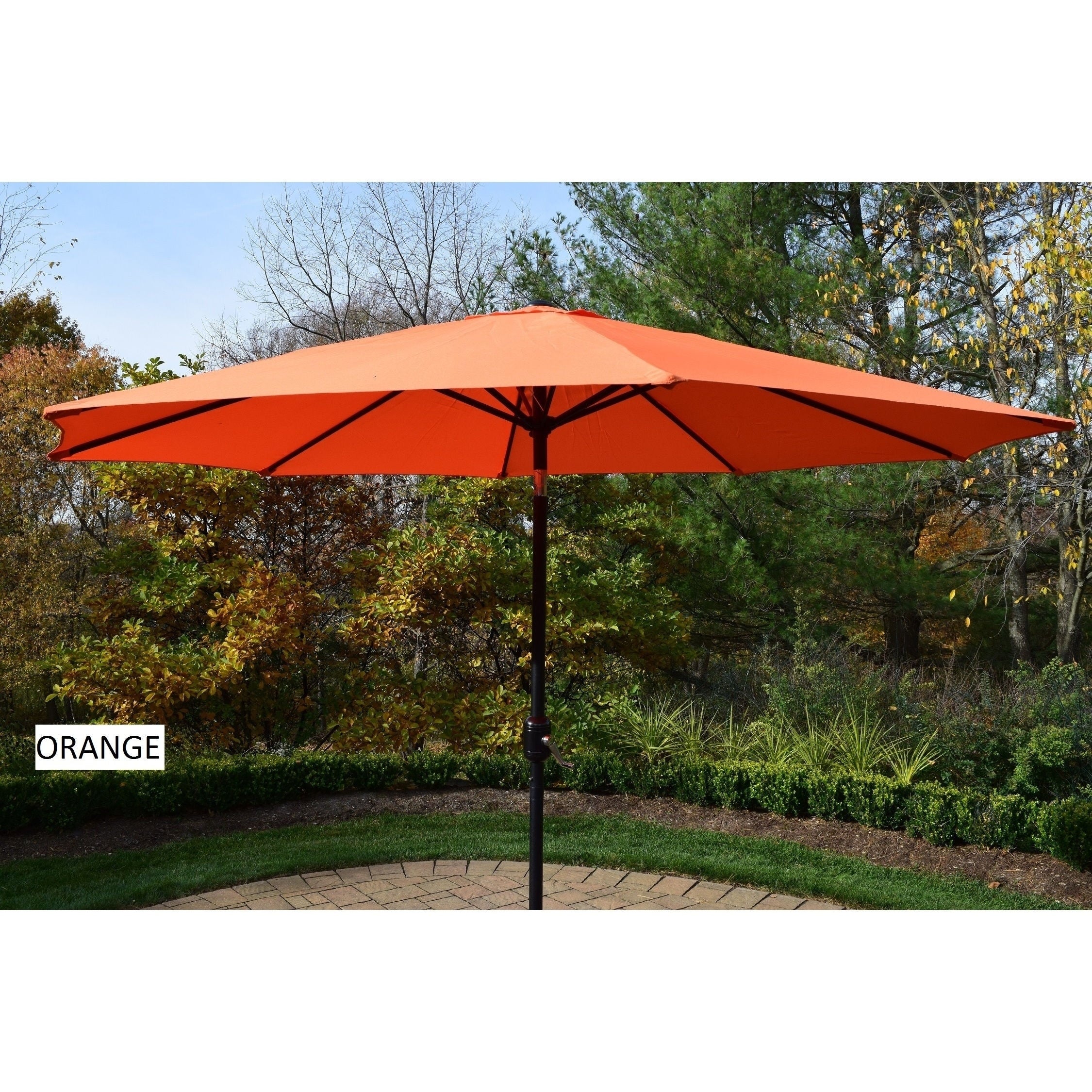 Metal Framed 9 Foot Umbrella With Crank And Tilt System