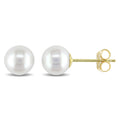 Miadora 14K Yellow Gold Cultured Freshwater Pearl Earrings White