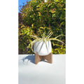 Mid Century 3.5 Caveman Ceramic On Stand Matte White