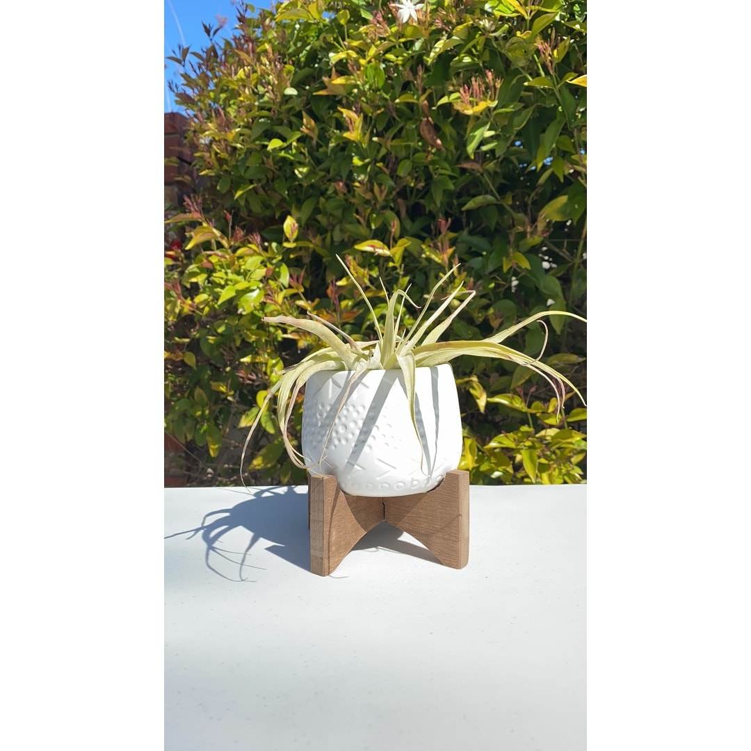 Mid Century 3.5 Caveman Ceramic On Stand Matte White