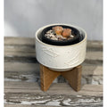 Mid Century 4 Constellation Ceramic Pot On Wood Stand Ivory