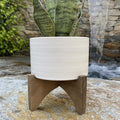 Mid Century 5 Arrow Ceramic Planter On Wood Stand Matte White