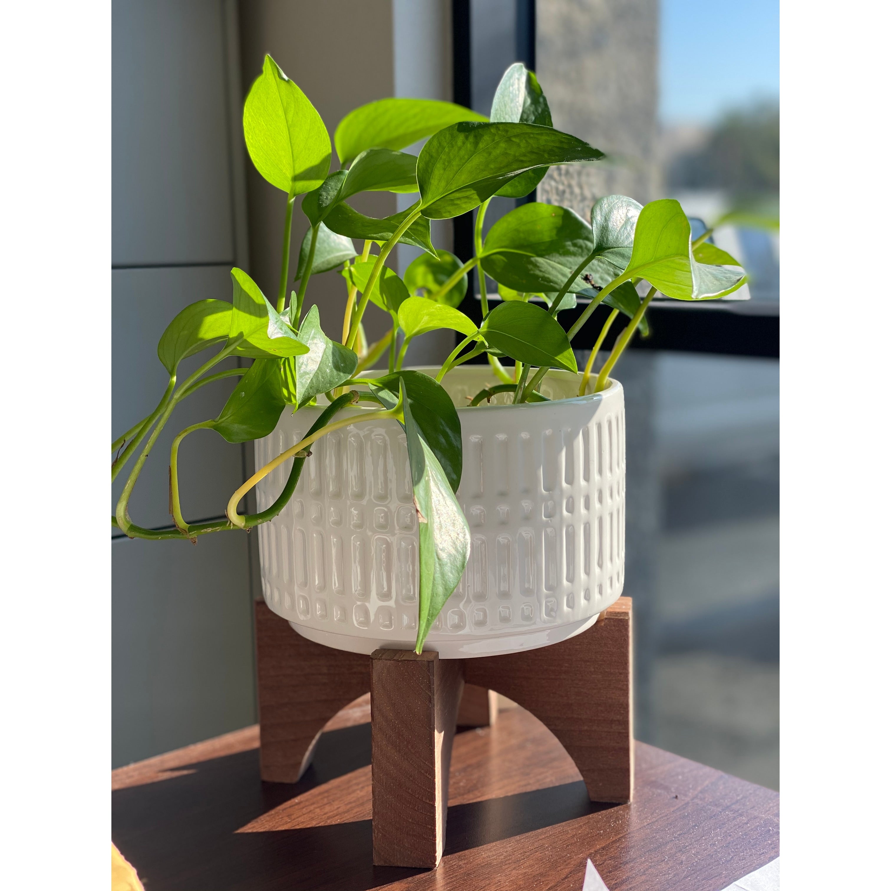 Mid Century 7 Roman Ceramic Pot On Wood Stand