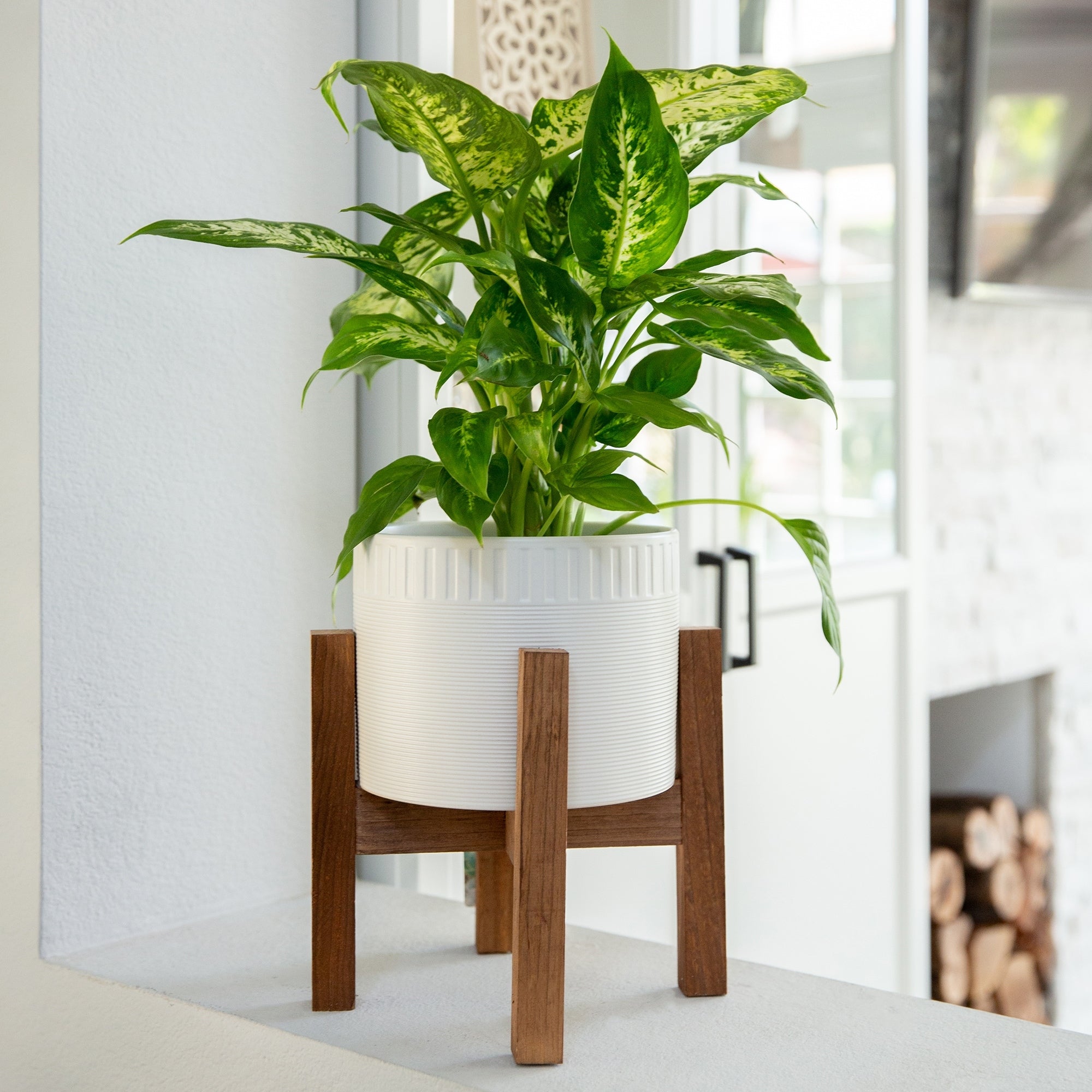 Mid Century 8 Ceramic Dumpling Pot On Wood Stand Matte White