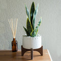 Mid Century Modern Planter 5 Caveman Ceramic Planter On Wood Stand