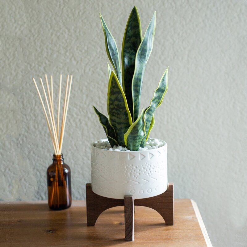 Mid Century Modern Planter 5 Caveman Ceramic Planter On Wood Stand