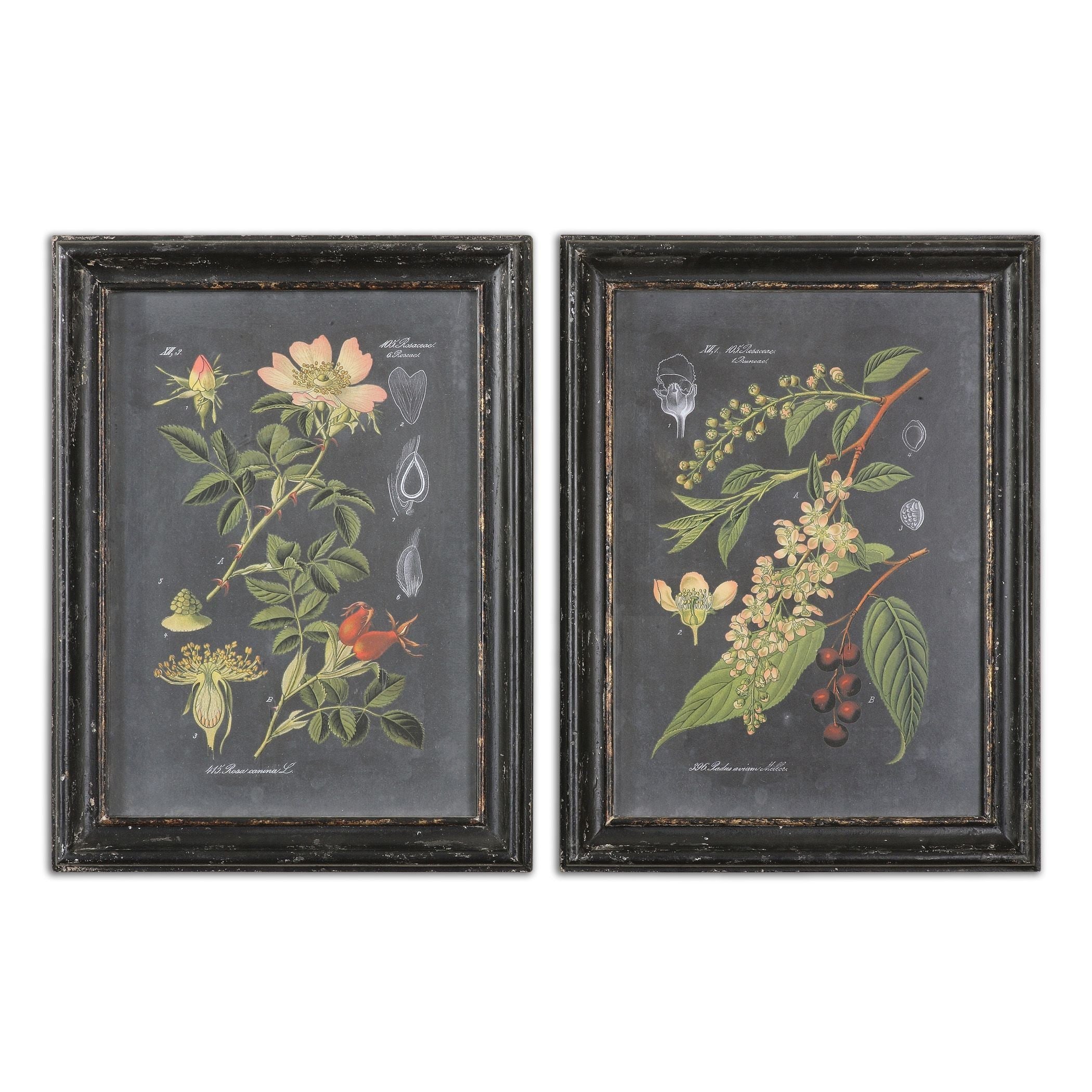 Midnight Botanicals Wall Art Set Of 2