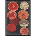Midnight Poppies By Vision Studio 23 X 33 In. Framed Canvas Wall Art Print